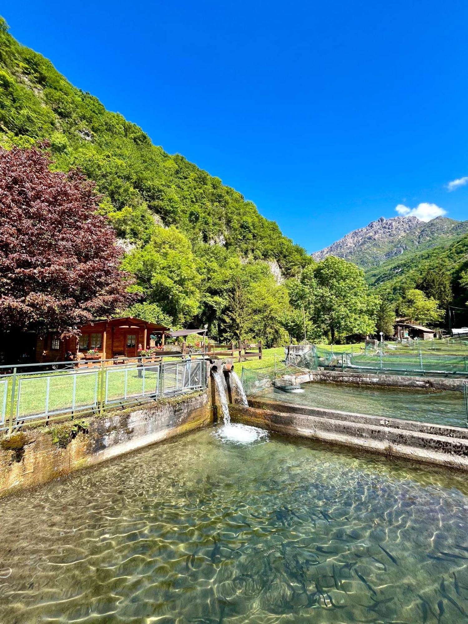Agriturismo La Vecchia Chioderia Grandola ed Uniti المظهر الخارجي الصورة