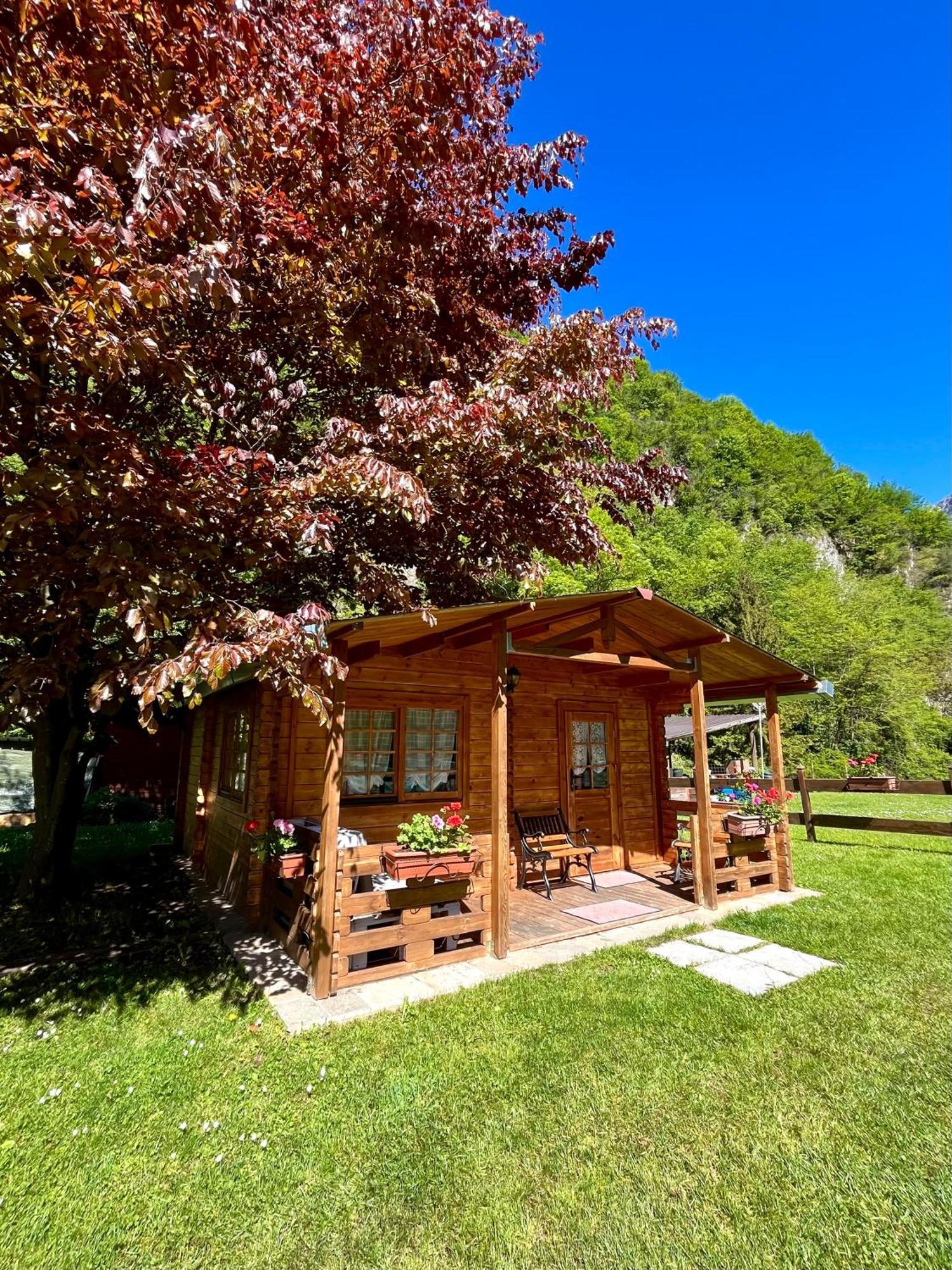 Agriturismo La Vecchia Chioderia Grandola ed Uniti المظهر الخارجي الصورة