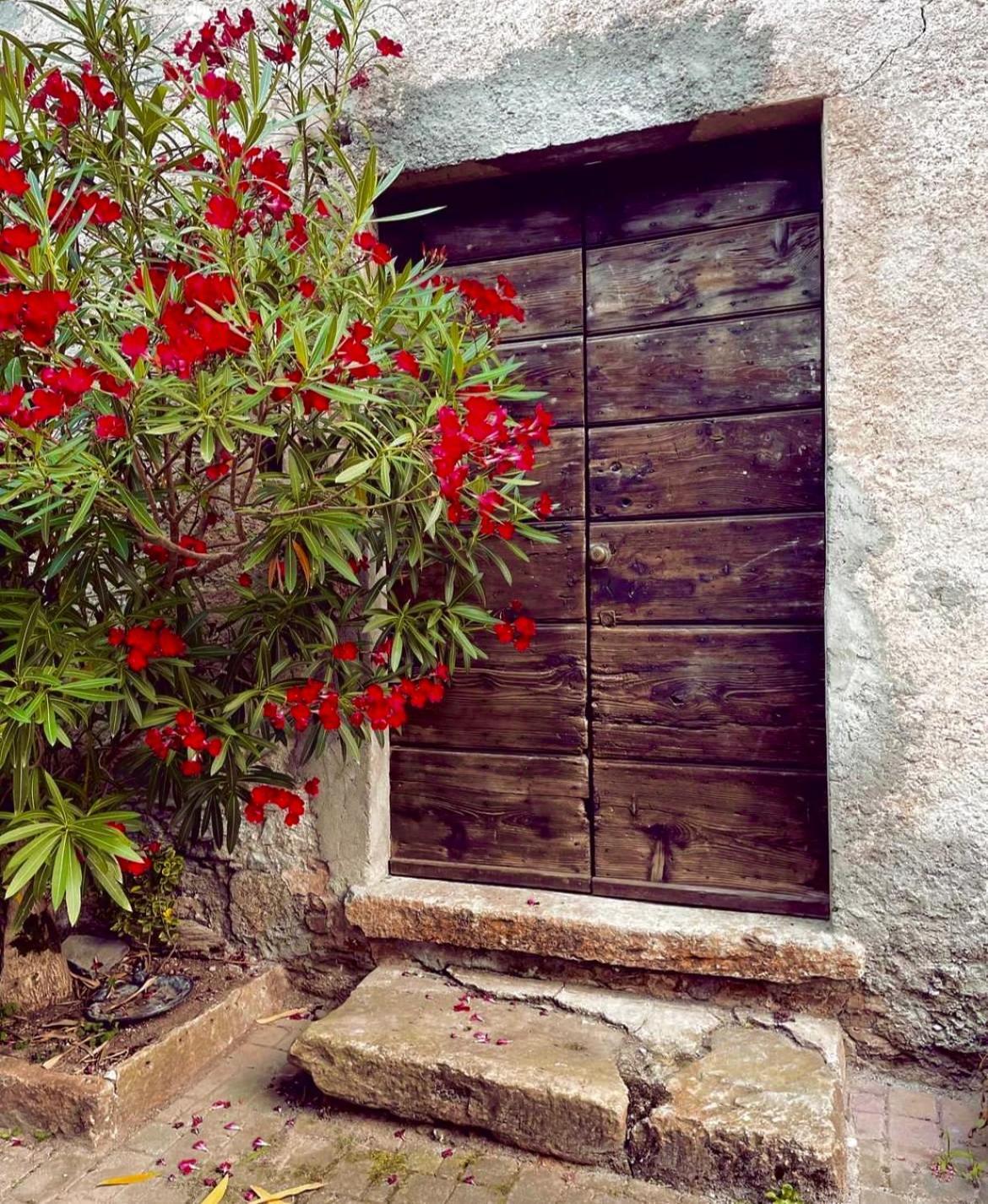 Agriturismo La Vecchia Chioderia Grandola ed Uniti المظهر الخارجي الصورة