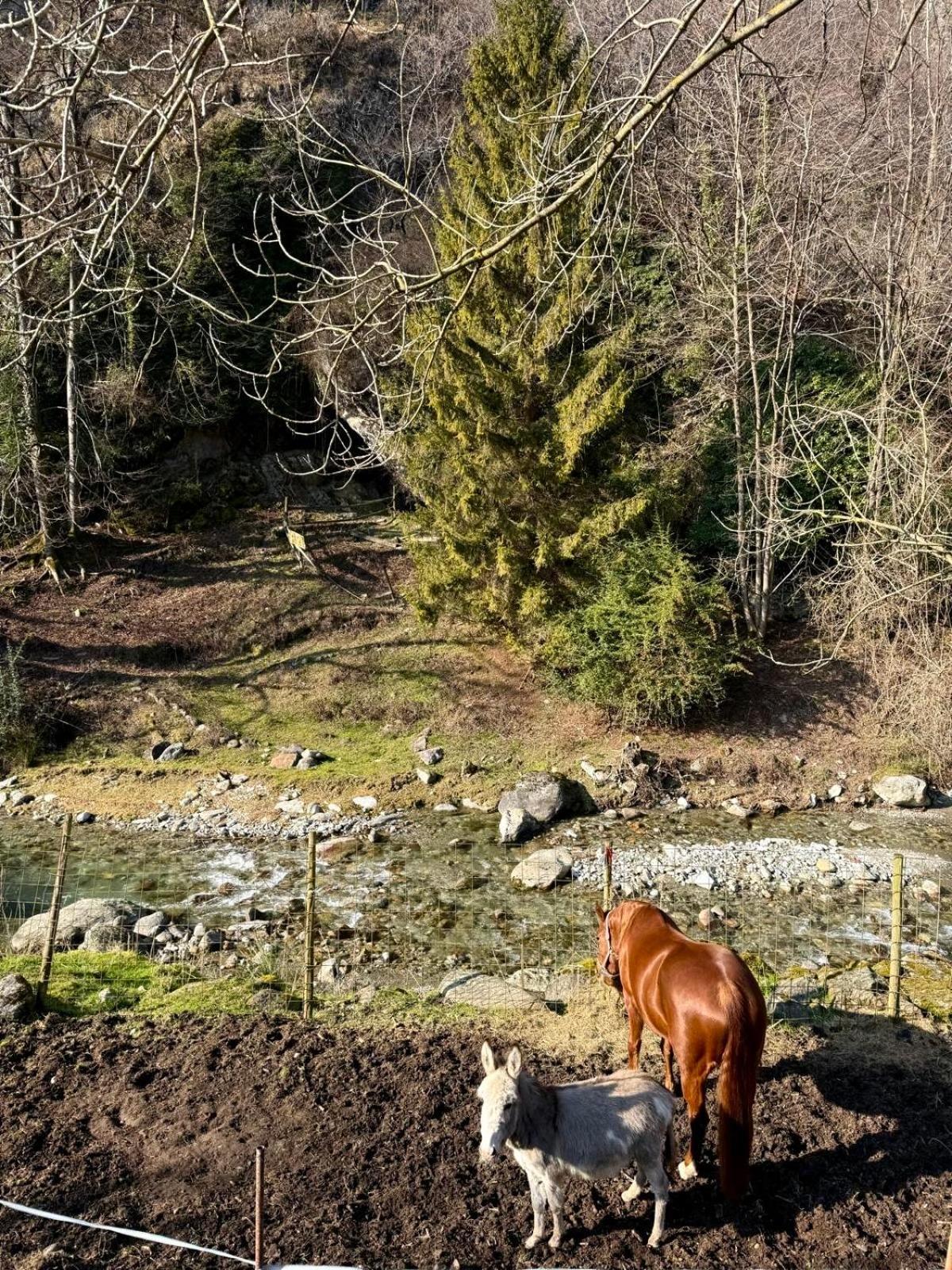 Agriturismo La Vecchia Chioderia Grandola ed Uniti المظهر الخارجي الصورة