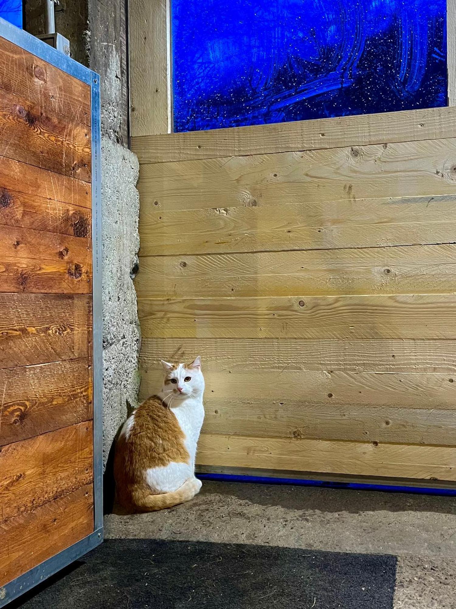 Agriturismo La Vecchia Chioderia Grandola ed Uniti المظهر الخارجي الصورة