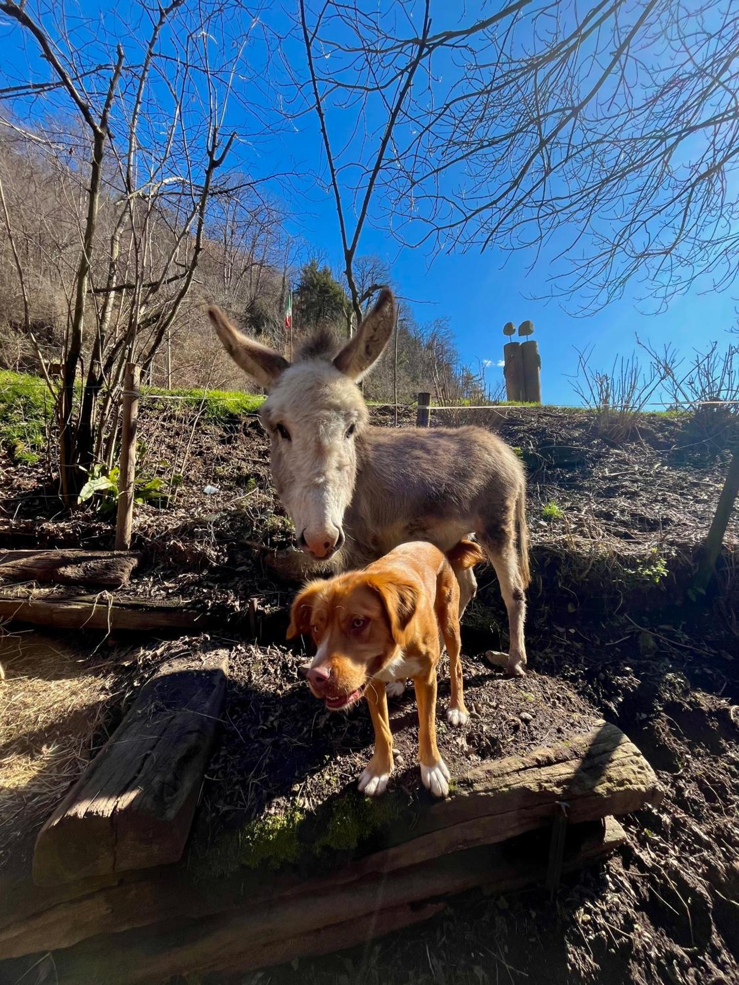 Agriturismo La Vecchia Chioderia Grandola ed Uniti المظهر الخارجي الصورة